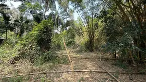 Land for Sale - Ampara