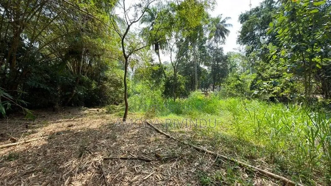 Land for Sale - Ampara