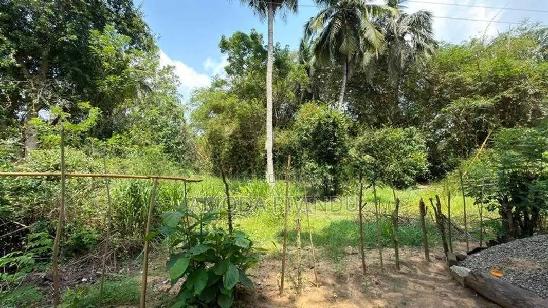 Land for Sale - Ampara