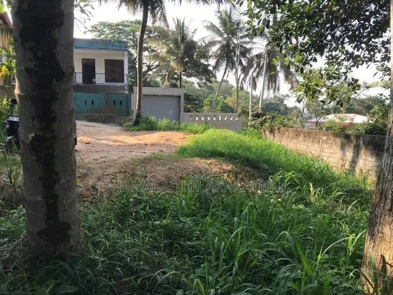 18 Perch Residential Land for Sale – Thennekumbura