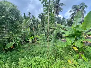 Land For Sale - Kaduwela Athurugiriya