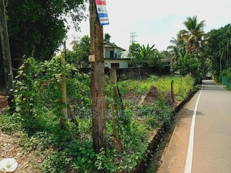 කොට්ටාවට පන්නිපිටියට ආසන්න පර්. 10.65ක්/Kottawa- Pannipitiya Land 10.6