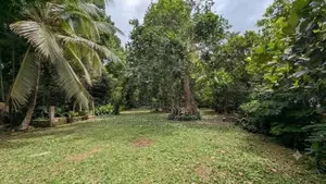 කඩවත – පියරත්න මාවතෙන් ඔබේ සිහින නිවසට වටිනා ඉඩමක්!