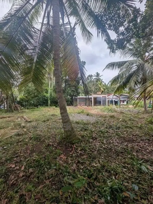 කඩවත – පියරත්න මාවතෙන් ඔබේ සිහින නිවසට වටිනා ඉඩමක්!