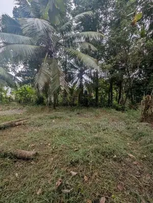 කඩවත – පියරත්න මාවතෙන් ඔබේ සිහින නිවසට වටිනා ඉඩමක්!