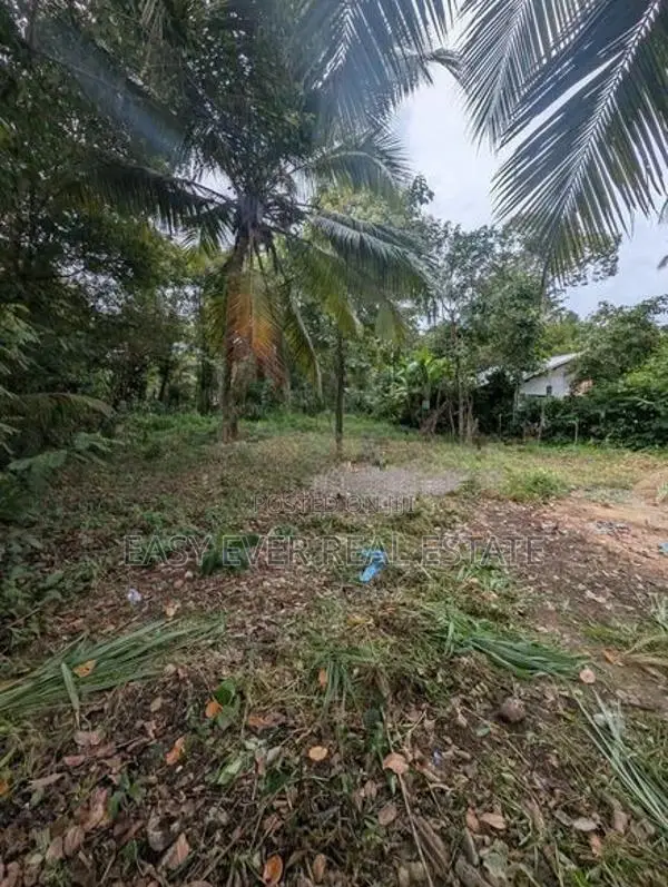 කඩවත – පියරත්න මාවතෙන් ඔබේ සිහින නිවසට වටිනා ඉඩමක්!