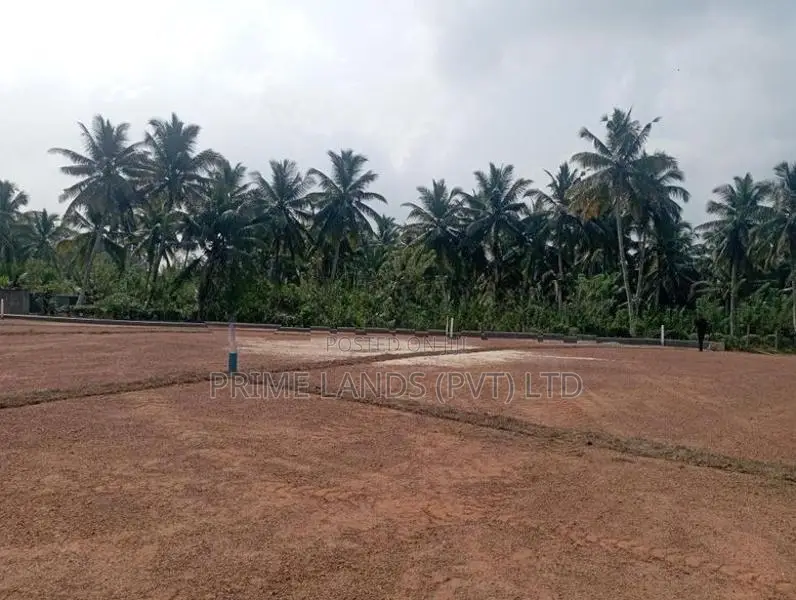 කොට්ටාව නගරයට ලඟින් වටිනා ඉඩමක්