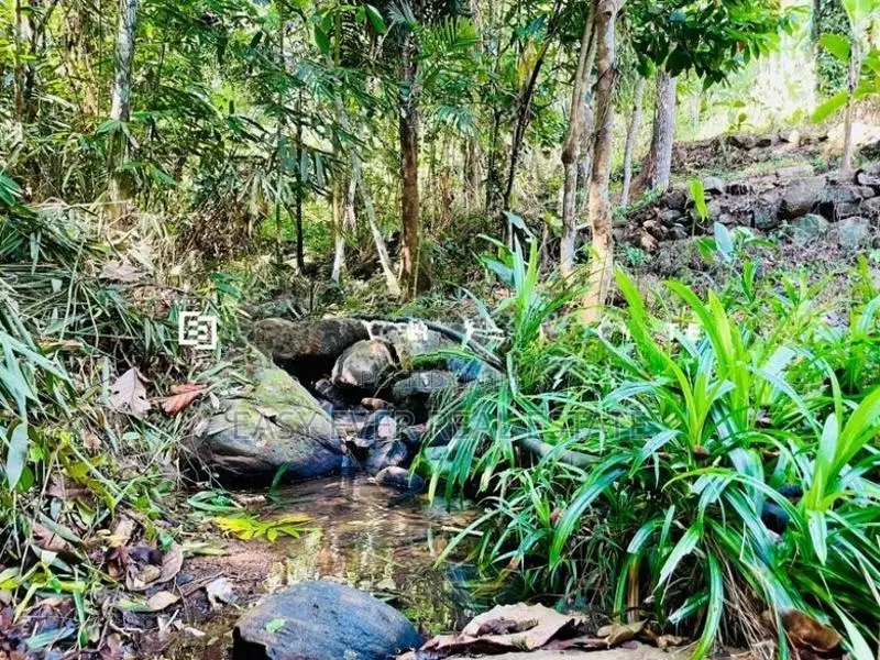 කැලයක් මැද දිය පාරකට මායිම්ව අක්කර බාගයක් සමඟ අඩක් නිම කල විලා එකක්