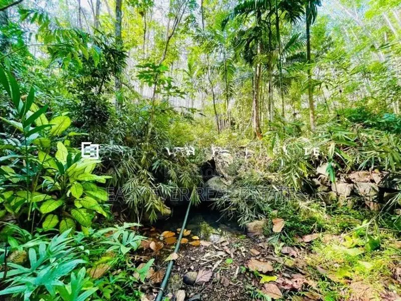කැලයක් මැද දිය පාරකට මායිම්ව අක්කර බාගයක් සමඟ අඩක් නිම කල විලා එකක්