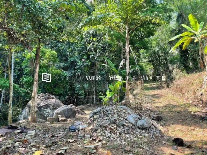 කැලයක් මැද දිය පාරකට මායිම්ව අක්කර බාගයක් සමඟ අඩක් නිම කල විලා එකක්
