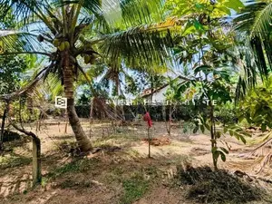 හංවැල්ල ජයවීරගොඩ ප්‍රදේශයෙන් පර් : 17 ක වටිනා බිම්කොටස් 2 ක් විකිණීමට