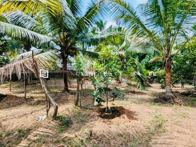 හංවැල්ල ජයවීරගොඩ ප්‍රදේශයෙන් පර් : 17 ක වටිනා බිම්කොටස් 2 ක් විකිණීමට