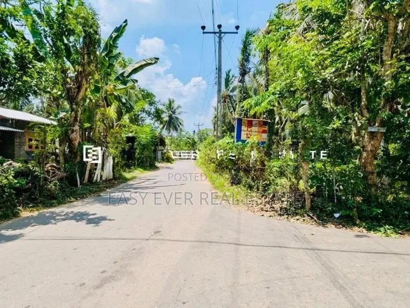 හංවැල්ල ජයවීරගොඩ ප්‍රදේශයෙන් පර් : 17 ක වටිනා බිම්කොටස් 2 ක් විකිණීමට