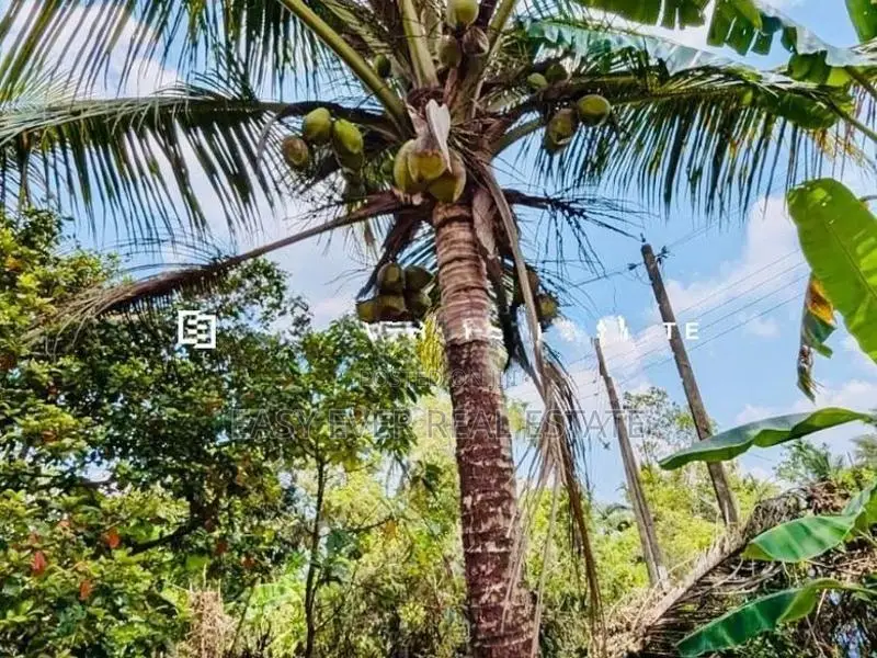හංවැල්ල ජයවීරගොඩ ප්‍රදේශයෙන් පර් : 17 ක වටිනා බිම්කොටස් 2 ක් විකිණීමට