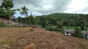 Land for Sale in Arandara Avissawella Road