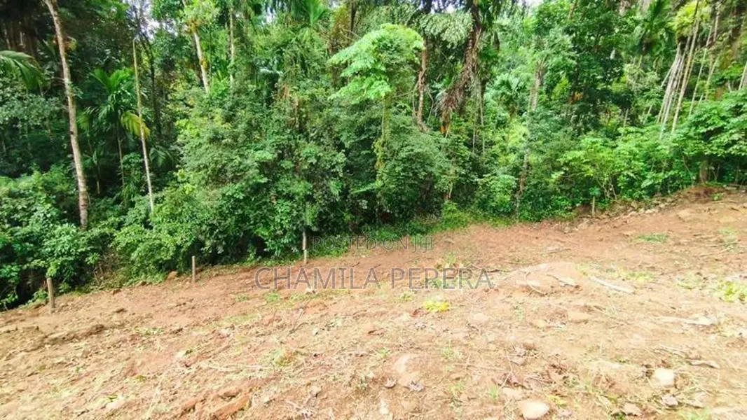 Land for Sale in Arandara Avissawella Road