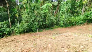 Land for Sale in Arandara Avissawella Road