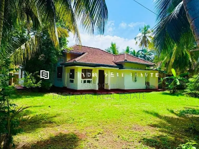 වාද්දූවෙන් වටිනා Antique House එකක් දැන් ඔබේම කරගන්න!
