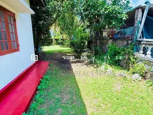 වාද්දූවෙන් වටිනා Antique House එකක් දැන් ඔබේම කරගන්න!