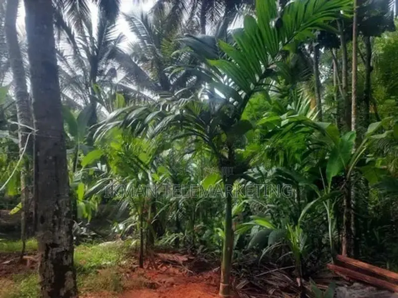 Land for Sale in Kurunegala, Mawathagama