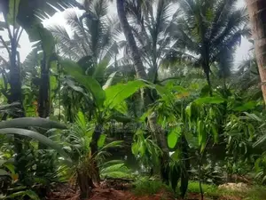 Land for Sale in Kurunegala, Mawathagama