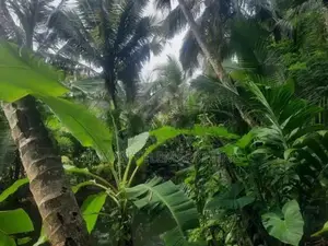 Land for Sale in Kurunegala, Mawathagama