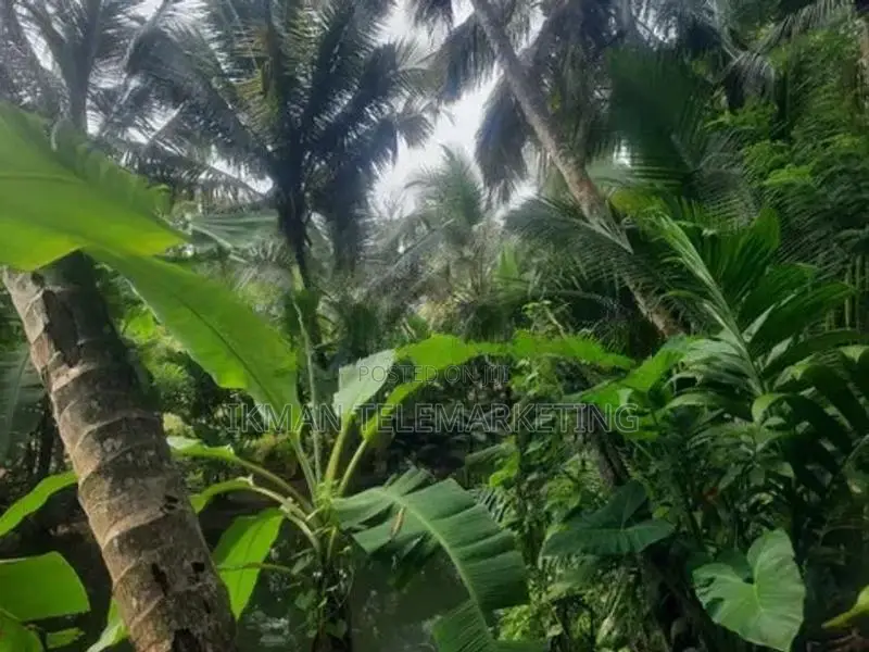 Land for Sale in Kurunegala, Mawathagama