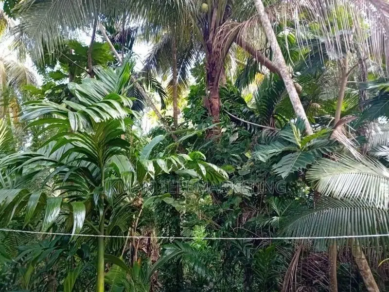 Land for Sale in Kurunegala, Mawathagama