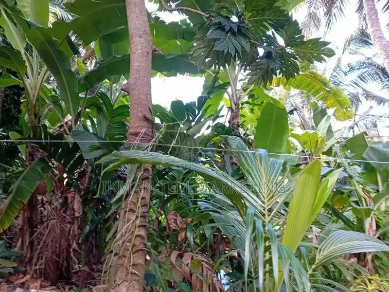 Land for Sale in Kurunegala, Mawathagama