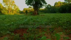 Land For Sale In Wellawaya, Ethiliwewa