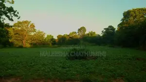 Land For Sale In Wellawaya, Ethiliwewa
