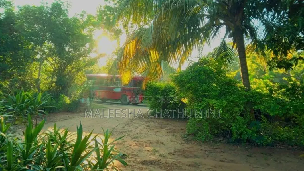 Land For Sale In Wellawaya, Ethiliwewa