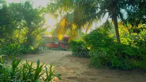 Land For Sale In Wellawaya, Ethiliwewa