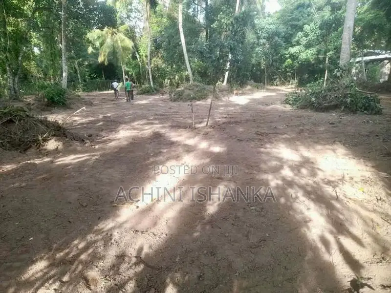 Land for Sale in Minuwangoda , Horampella