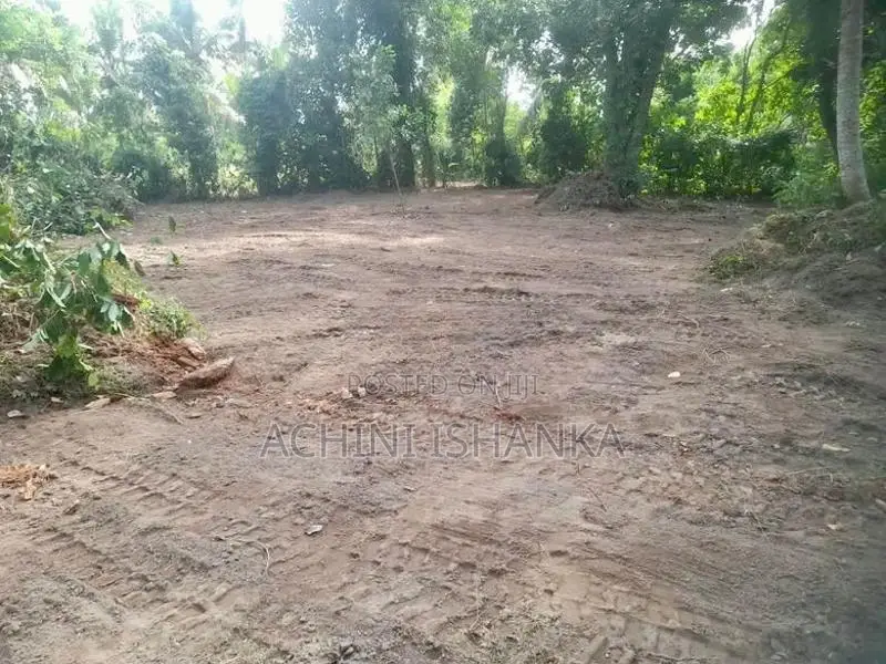 Land for Sale in Minuwangoda , Horampella