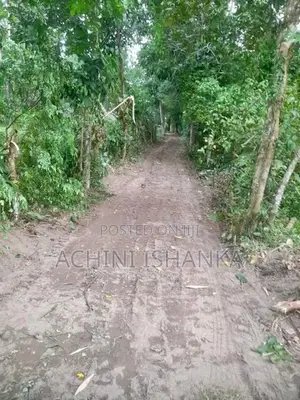 Land for Sale in Minuwangoda , Horampella