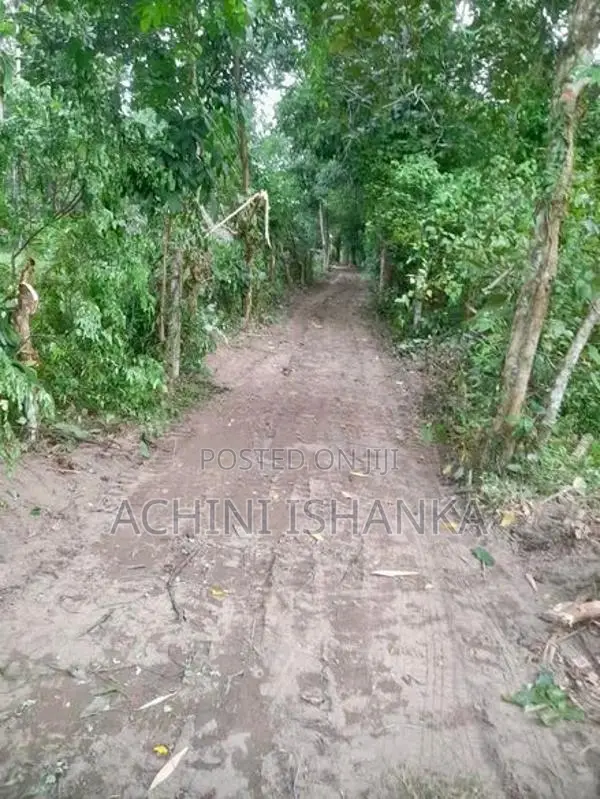 Land for Sale in Minuwangoda , Horampella