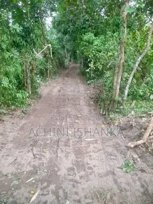 Land for Sale in Minuwangoda , Horampella