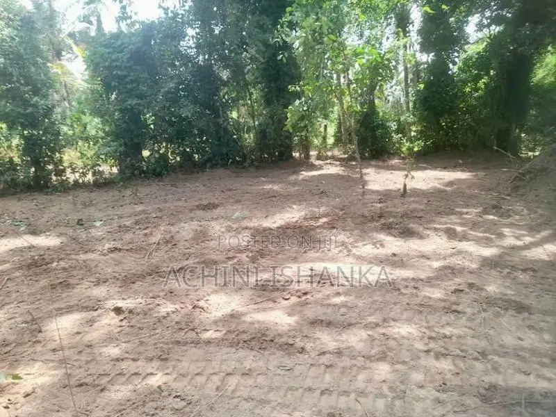 Land for Sale in Minuwangoda , Horampella
