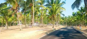 Land for Sale in Waboda