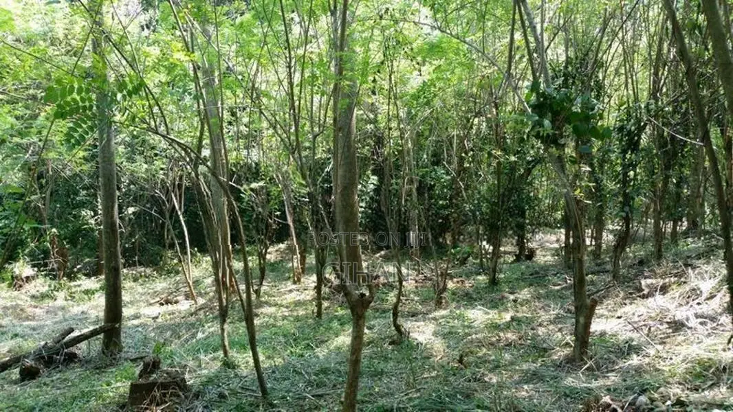 Prime Hillside Land with River Frontage Sabaragamuwa
