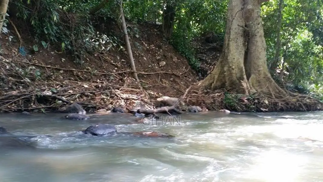 Prime Hillside Land with River Frontage Sabaragamuwa