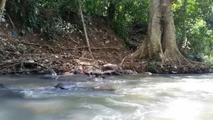 Prime Hillside Land with River Frontage Sabaragamuwa