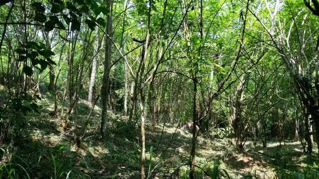 Prime Hillside Land with River Frontage Sabaragamuwa