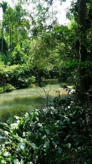 Prime Hillside Land with River Frontage Sabaragamuwa