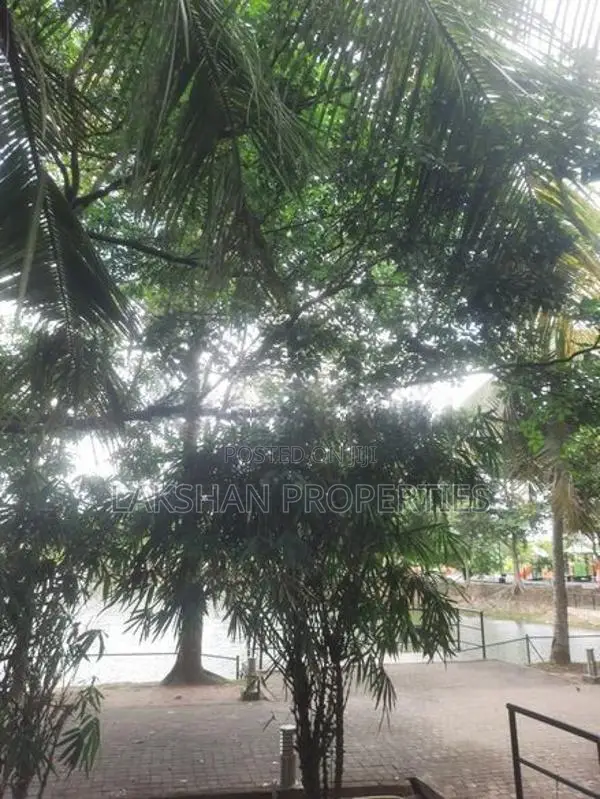 Land For Sale In Boralesgamuwa