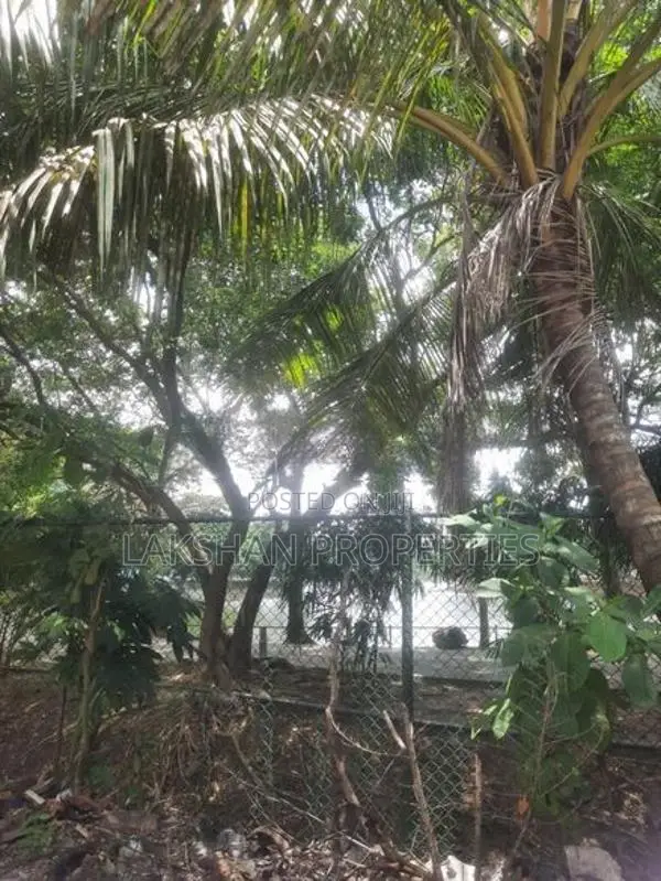 Land For Sale In Boralesgamuwa