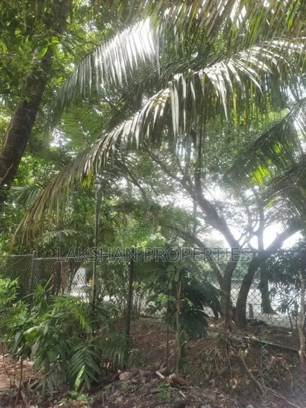 Land For Sale In Boralesgamuwa