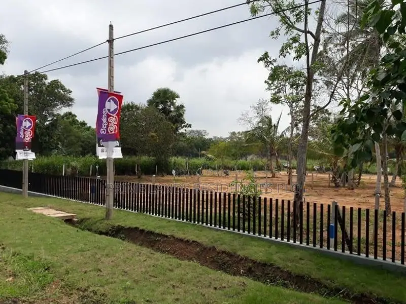 අනුරාධපුර - පුත්තලම පාරට මුහුණලා සින්නක්කර බිම්කොටස් විකිණීමට
