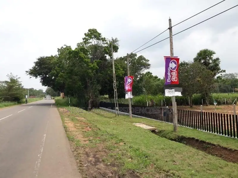 අනුරාධපුර - පුත්තලම පාරට මුහුණලා සින්නක්කර බිම්කොටස් විකිණීමට